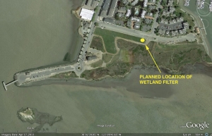 wetland filter location